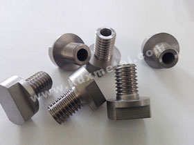 Tantalum screws